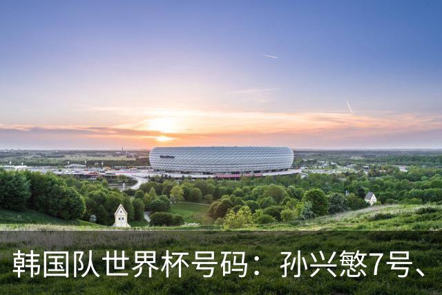 韩国队世界杯号码：孙兴慜7号、李刚仁19号、朴镇燮16号